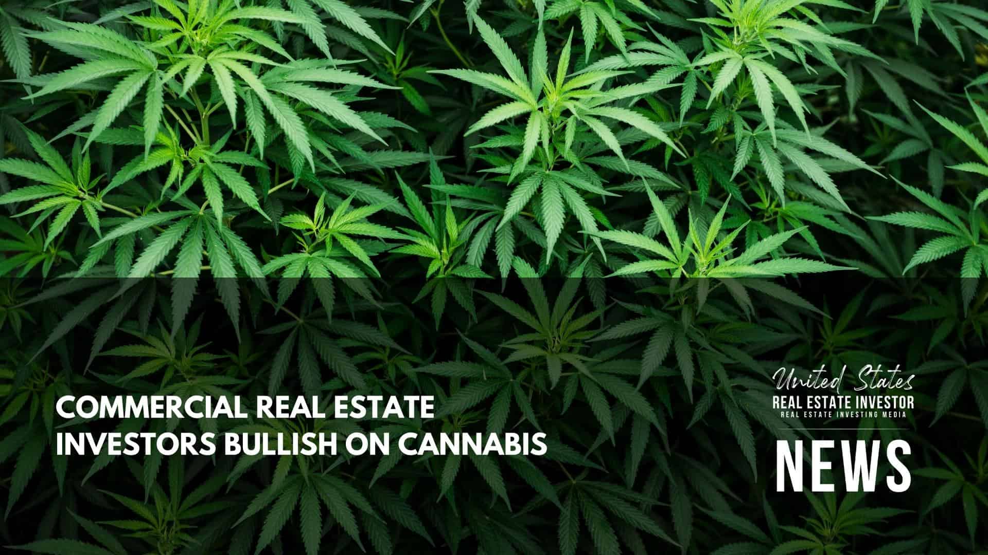 United States Real Estate Investor - Real estate investing media - Commercial Real Estate Investors Bullish On Cannabis