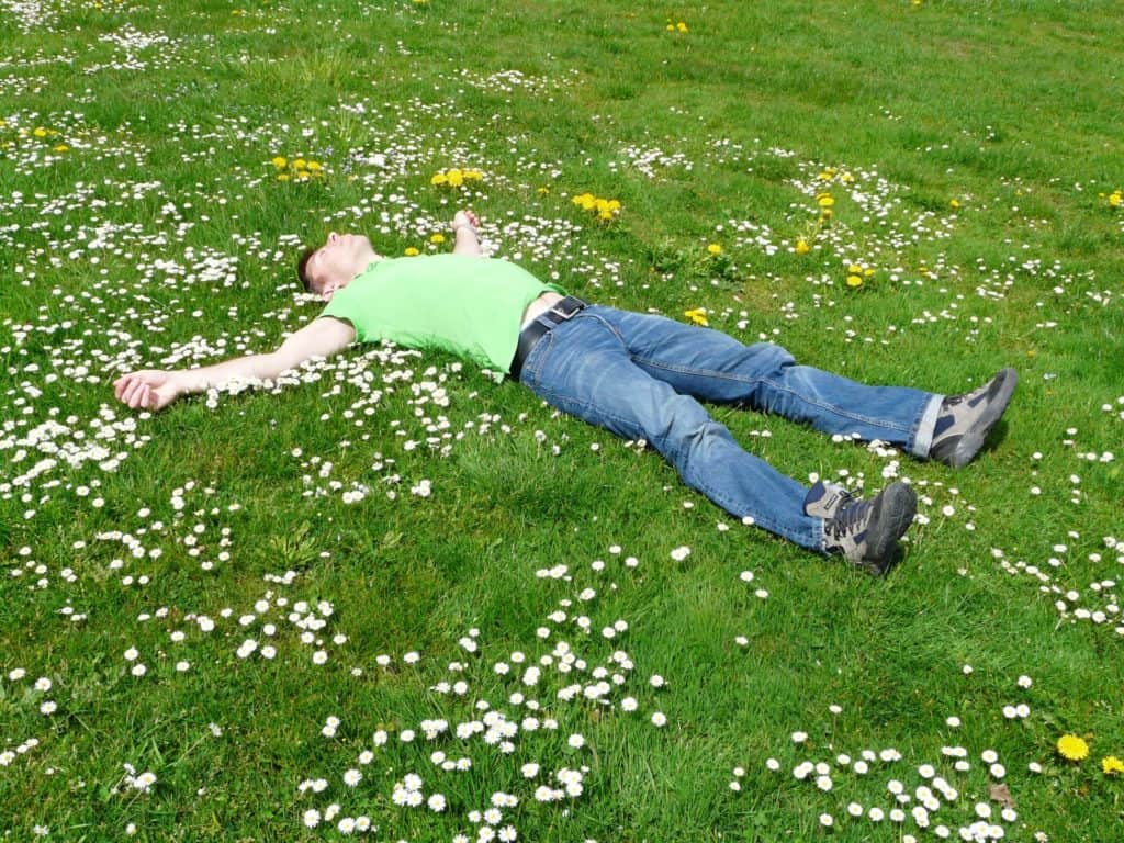 Man Laying In Field Of Short Green Grass and Flowers